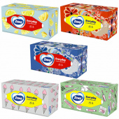 Салфетки косметические 2-слойные в картонном коробе, 250 штук, ZEMMA/ZEWA Everyday, 86791