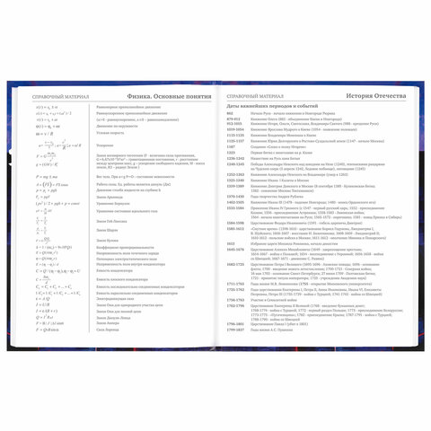 Дневник 5-11 класс 48 л., твердый, BRAUBERG, глянцевая ламинация, с подсказом, "DELIGHT", 106864