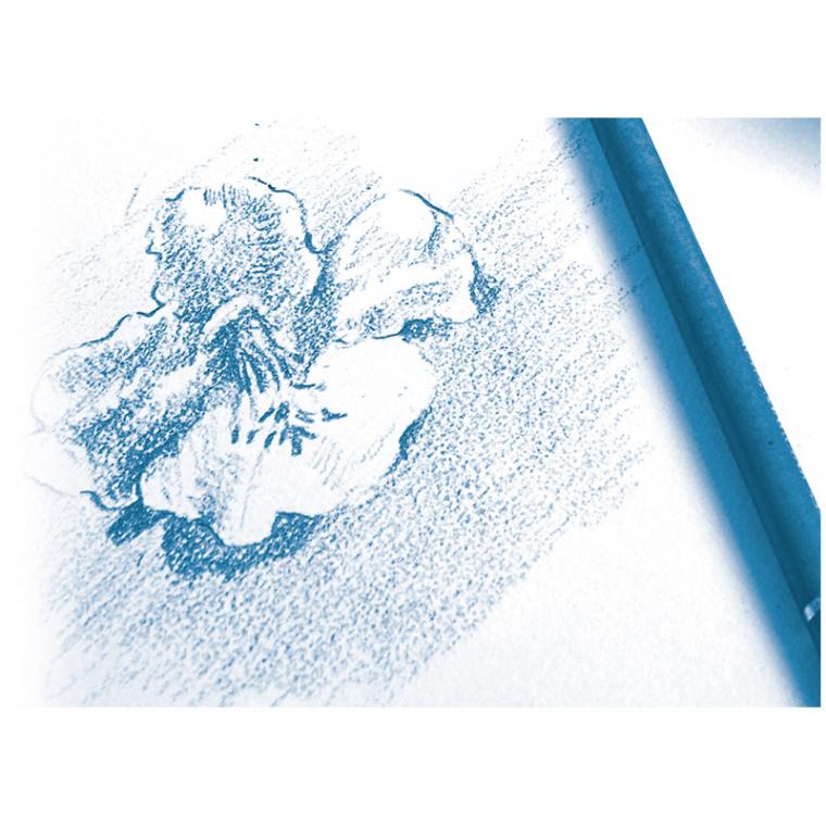 Скетчбук 30л., А4 Clairefontaine на гребне, мелкозернистая, 180г/м2
