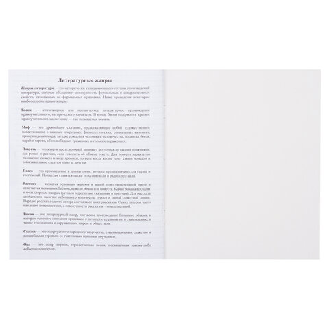 Дневник читательский А5, 40 л., скоба, обложка картон, ПИФАГОР, "Кот учёный", 113447