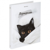 Папка-портфолио универсальная, 4 кольца, 20 файлов, 7БЦ матовая, BRAUBERG "Cat", 107557, 117557