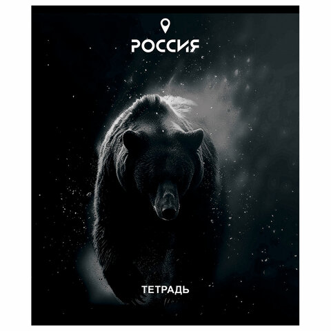 Тетрадь А5 48 л. ПЗБМ, скоба, клетка, Soft Touch, брайль, "Место Силы" (микс в спайке), 23294