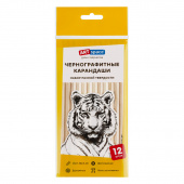Набор карандашей ч/г ArtSpace, 12шт., 2H-2B, заточен., пакет, европодвес
