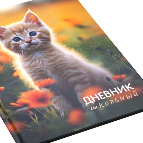 Дневник 1-4 класс 48 л., твердый, ЮНЛАНДИЯ, глянцевая ламинация, с подсказом, "Котёнок", 107581
