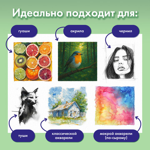 Бумага для гуаши А3 20 л., 180 г/м2, 297х420 мм, в папке, BRAUBERG АКАДЕМИЯ, "Мальчик с гусём", 117738