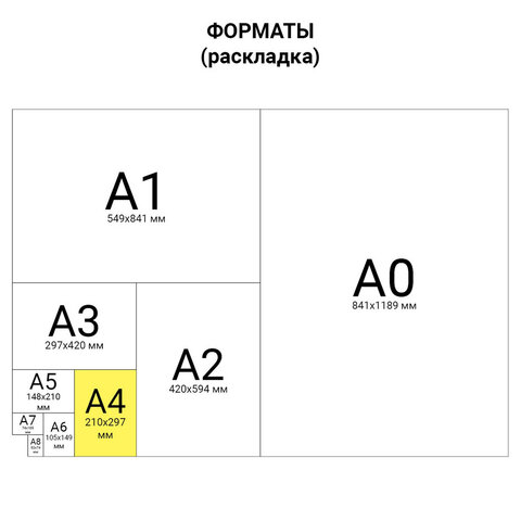 Книга учета 96 л., клетка, твердая, картон, глянцевая, типографский блок, А4 200х290 мм, STAFF, 130220