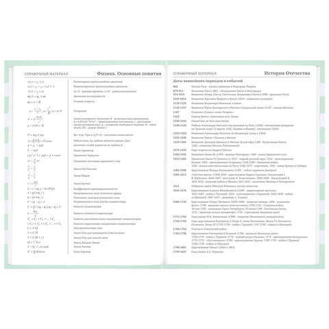 Дневник 1-11 класс 48 л., твердый, BRAUBERG, блестки, с подсказом, "Котик", 106606