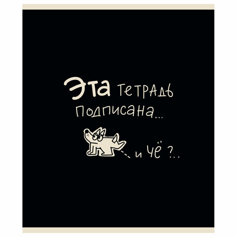Тетрадь А5 48 л. ПЗБМ, скоба, клетка, матовая ламинация, брайль, "Тетрадь подписана" (микс в ПУ), 23447