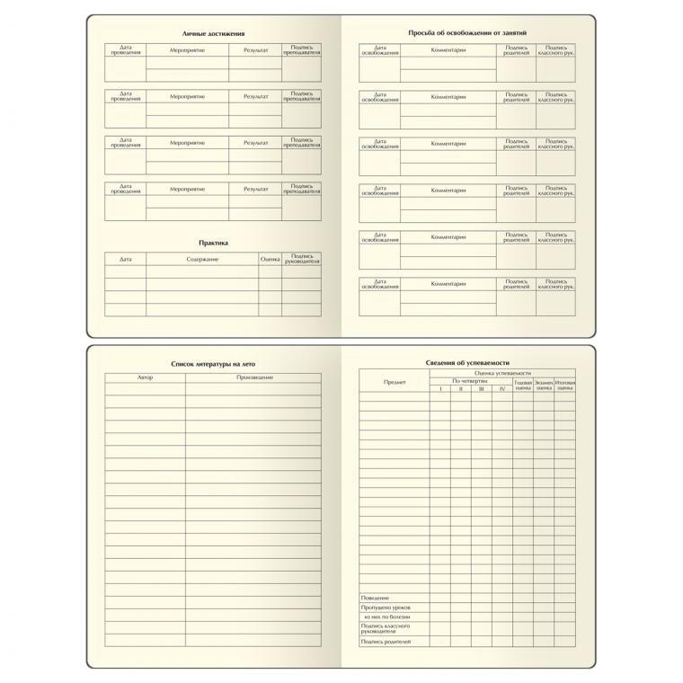 Дневник 1-11 кл. 48л. (твердый) BG "Киберкот", иск. кожа (балакрон), печать, ляссе