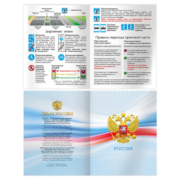 Дневник 1-4 кл., 48л., (твердый) BG "Гол", матовая ламинация, выб.лак