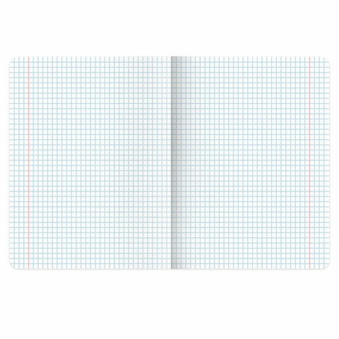 Тетрадь пластиковая обложка (прозрачная) 12 листов, клетка, BRAUBERG "Smart Cover", АССОРТИ (микс в спайке), 405022