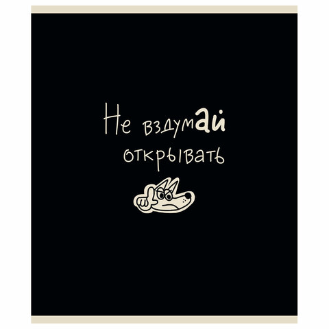 Тетрадь А5 48 л. ПЗБМ, скоба, клетка, матовая ламинация, брайль, "Тетрадь подписана" (микс в ПУ), 23447