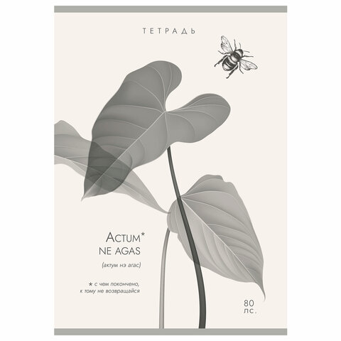 Тетрадь А4 80 л. ПЗБМ, скоба, клетка, Soft Touch, брайль, "Латынь" (микс в спайке), 23430