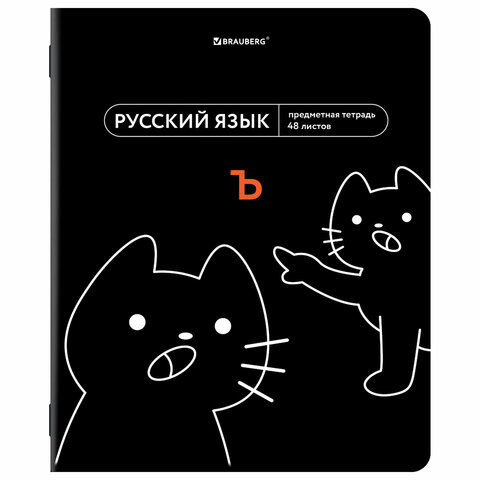 Тетради предметные, КОМПЛЕКТ 12 ПРЕДМЕТОВ, 48 л., TWIN-лак, BRAUBERG "МЕМЫ", 405172
