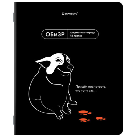 Тетрадь предметная МЕМЫ 48 л., TWIN-лак, ОБиЗР, клетка, подсказки, BRAUBERG, 405108