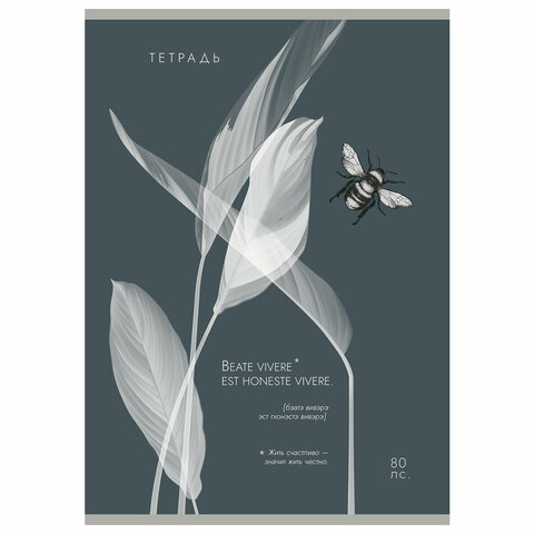Тетрадь А4 80 л. ПЗБМ, скоба, клетка, Soft Touch, брайль, "Латынь" (микс в спайке), 23430