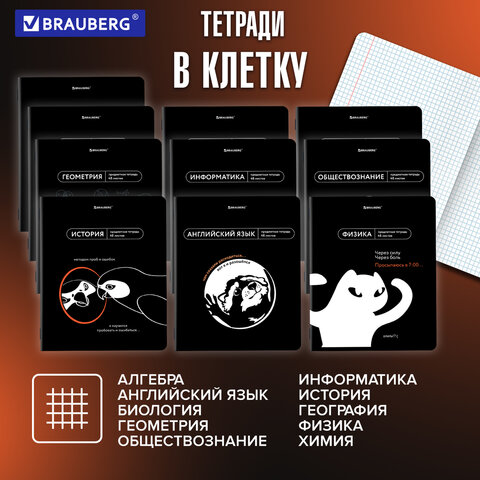 Тетради предметные, КОМПЛЕКТ 12 ПРЕДМЕТОВ, 48 л., TWIN-лак, BRAUBERG "МЕМЫ", 405172