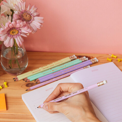 Карандаш чернографитный BIC, 1 шт., "Evolution Pastel", HB, с ластиком, корпус ассорти, 518306