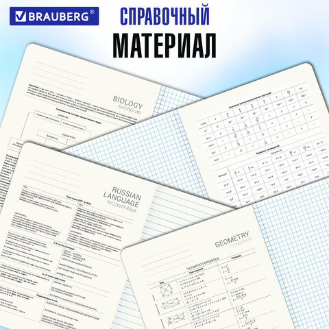 Тетради предметные, КОМПЛЕКТ 13 ПРЕДМЕТОВ, 48 л., матовая ламинация, BRAUBERG "MONOCOLOR", 405175