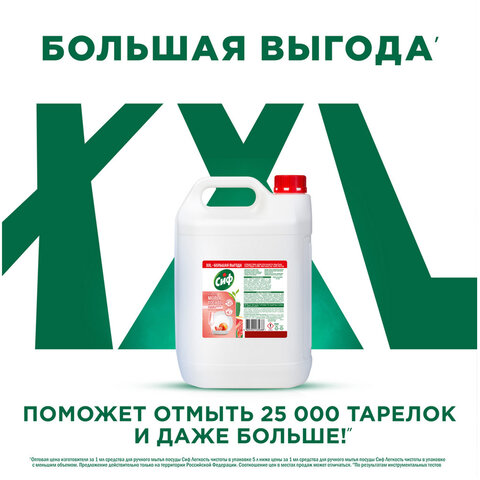 Средство для мытья посуды 5 л, СИФ "Красный апельсин и эвкалипт", гель