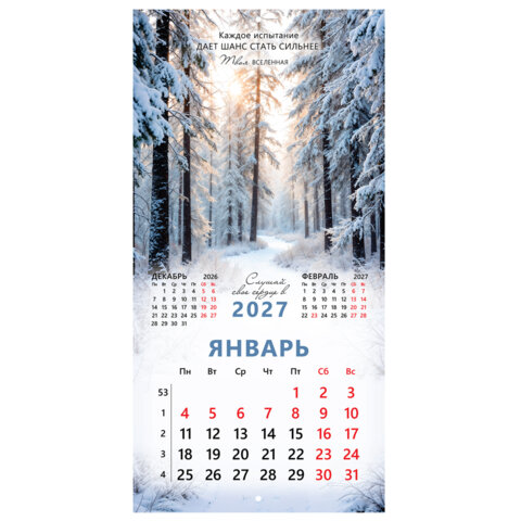 Календарь настенный перекидной 2027 г., BRAUBERG, 12 листов, 28,5х57 см, "Вселенная", 118412