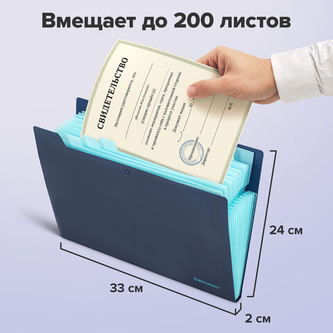 Папка-органайзер на кнопке 12 отделений, BRAUBERG "Extra", А4, синяя с голубым, 271933