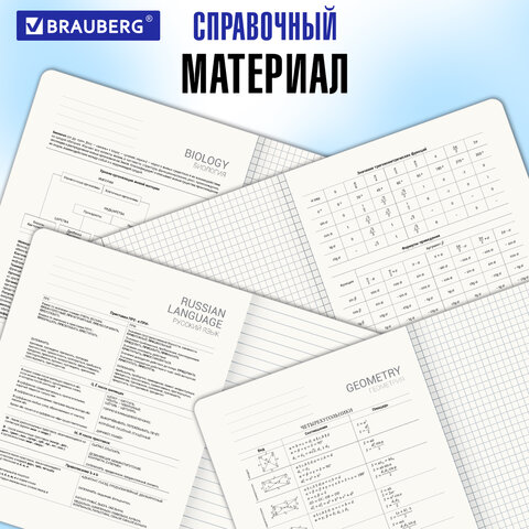 Тетради предметные, КОМПЛЕКТ 12 ПРЕДМЕТОВ, 48 л., SoftTouch, BRAUBERG "РИТМ", 405181