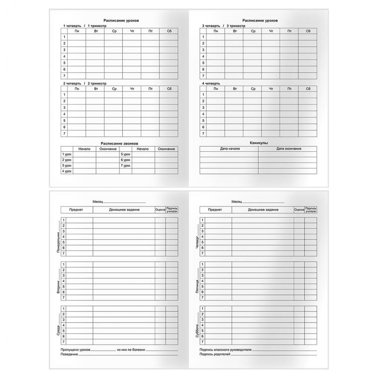 Дневник 1-4 кл., 48л., (твердый) BG "Гол", матовая ламинация, выб.лак