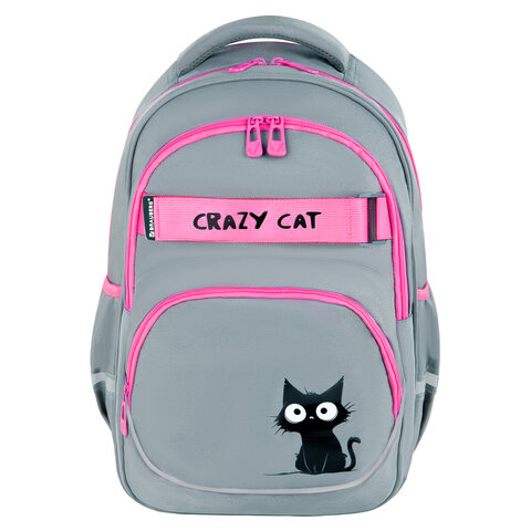 Рюкзак BRAUBERG MOTION, 2 отделения, 3 кармана, "Crazy cat", 41х28х17 см, 273115