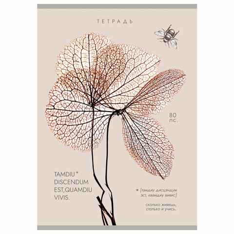 Тетрадь А4 80 л. ПЗБМ, скоба, клетка, Soft Touch, брайль, "Латынь" (микс в спайке), 23430