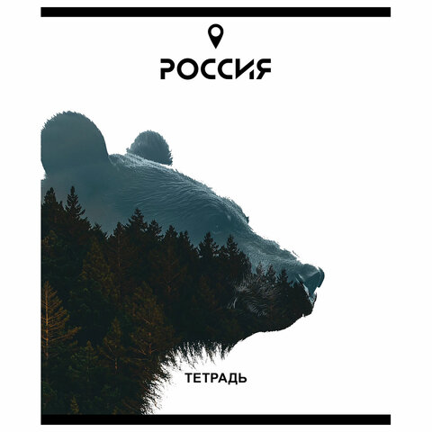 Тетрадь А5 48 л. ПЗБМ, скоба, клетка, Soft Touch, брайль, "Место Силы" (микс в спайке), 23294