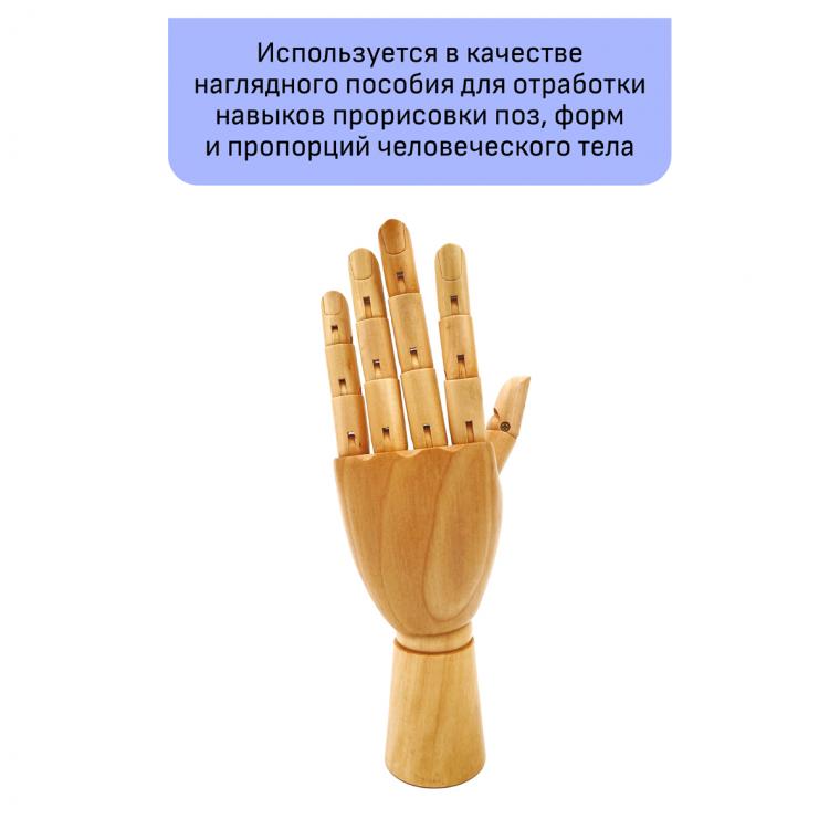 УЦЕНКА - Манекен художественный "рука" Гамма "Студия", женская левая, деревянный, 25см (осн 338322)