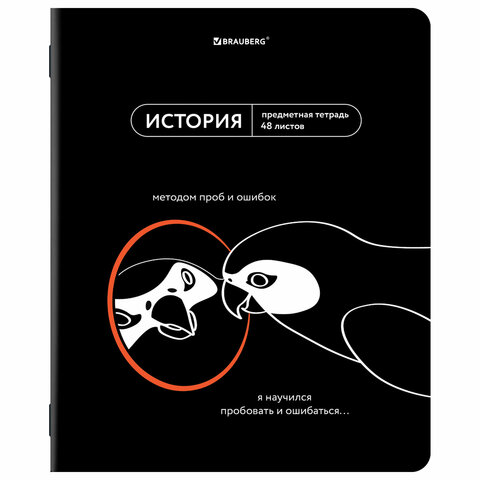 Тетради предметные, КОМПЛЕКТ 12 ПРЕДМЕТОВ, 48 л., TWIN-лак, BRAUBERG "МЕМЫ", 405172