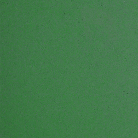 Подвесные папки А4/Foolscap (406х245 мм), до 80 листов, КОМПЛЕКТ 10 шт., зеленые, картон, BRAUBERG (Италия), 231795