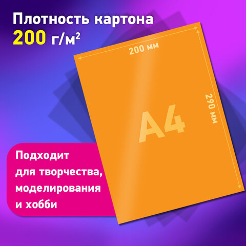 Набор картона БЕЛЫЙ + ЦВЕТНОЙ, A4, мелованный, 30 листов (белый 10 листов + цветной 20 листов, 10 цветов), папка, BRAUBERG, 116423