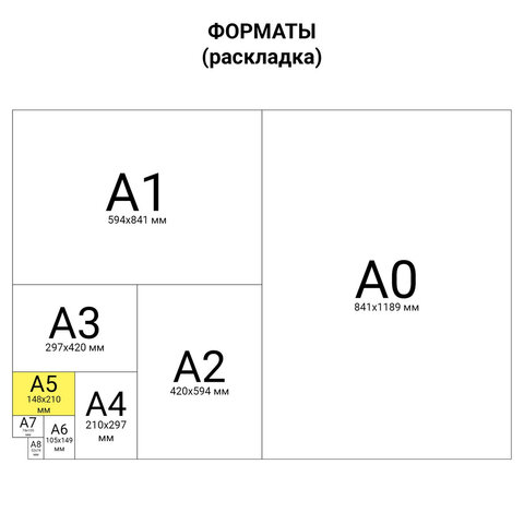 Тетрадь 12 л. BRAUBERG ЭКО "5-КА", узкая линия, обложка картон 170 г/м2, ЗЕЛЕНАЯ, 104765