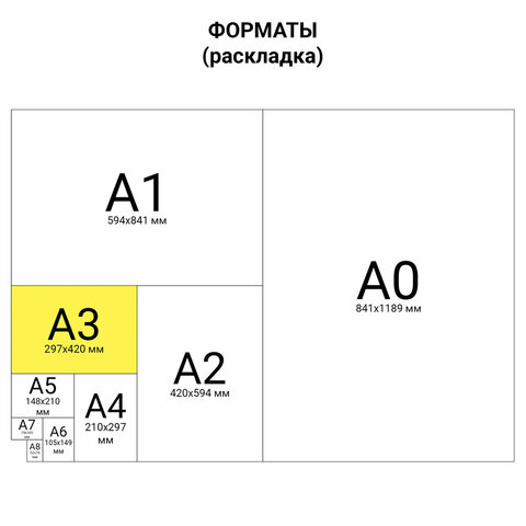 Бумага для гуаши А3 20 л., 180 г/м2, 297х420 мм, в папке, BRAUBERG АКАДЕМИЯ, "Мальчик с гусём", 117738