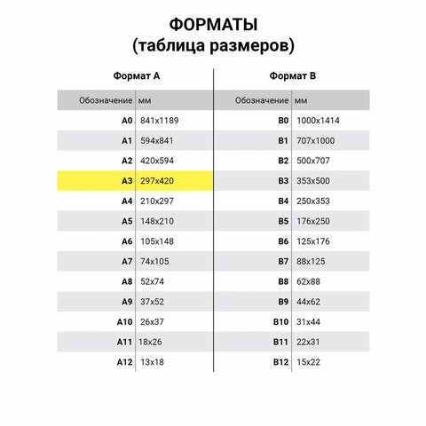Бумага для гуаши А3 20 л., 180 г/м2, 297х420 мм, в папке, BRAUBERG АКАДЕМИЯ, "Мальчик с гусём", 117738